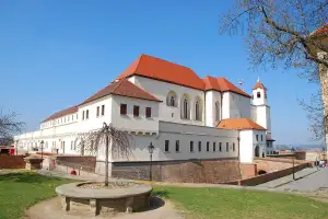 Homeopatie Brno