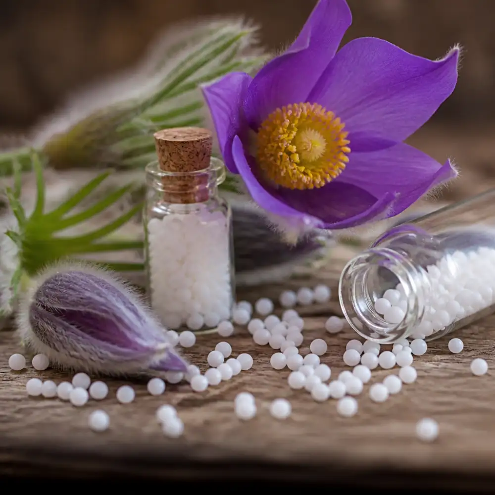 Pulsatilla Homeopatie